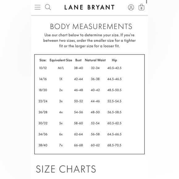 Lane Bryant Women’s Wide Leg Trousers Size 16 Charcoal Gray W/ White Pinstripes - Picture 9 of 9